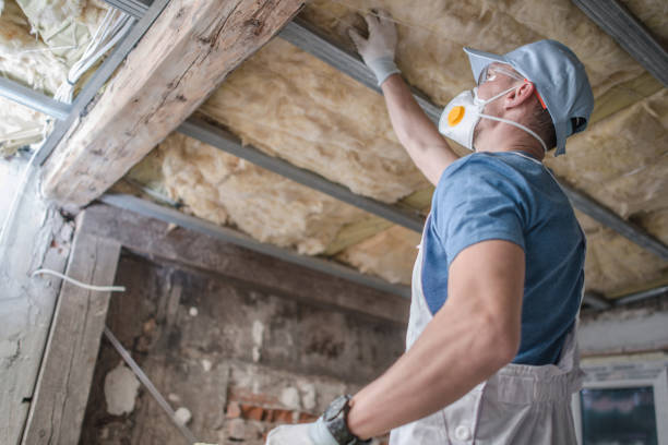 Best Garage Insulation Installation  in Fullerton, NE