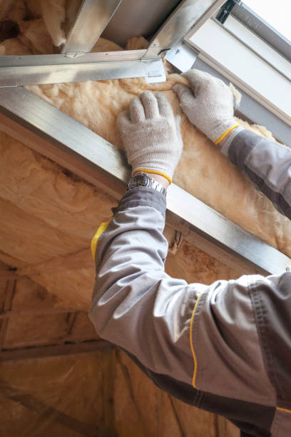 Best Fiberglass Insulation  in Fullerton, NE