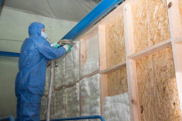 Best Insulation Contractors for Homes  in Fullerton, NE