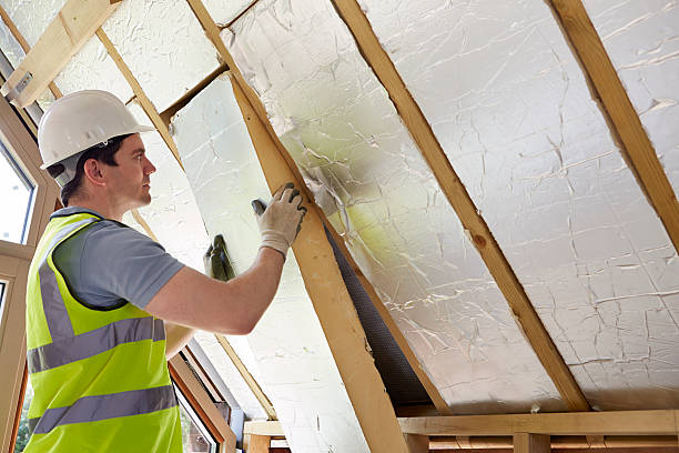 Best Insulation Inspection Services  in Fullerton, NE