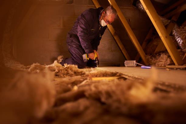 Best Energy-efficient Insulation  in Fullerton, NE